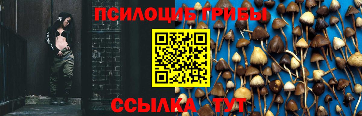 Галлюциногенные грибы прущие грибы  Псилоцибиновые грибы мухоморы  Сергиев Посад  Вход с VPN 